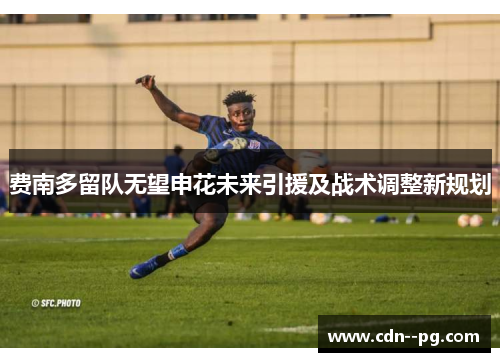 费南多留队无望申花未来引援及战术调整新规划 费南多留队无望申花未来引援及战术调整新规划