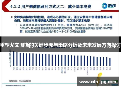 重塑尤文图斯的关键步骤与策略分析及未来发展方向探讨 重塑尤文图斯的关键步骤与策略分析及未来发展方向探讨