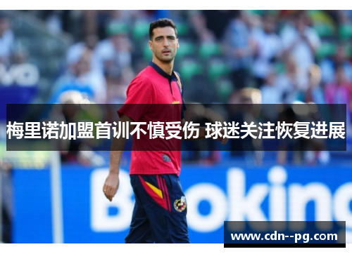 梅里诺加盟首训不慎受伤 球迷关注恢复进展